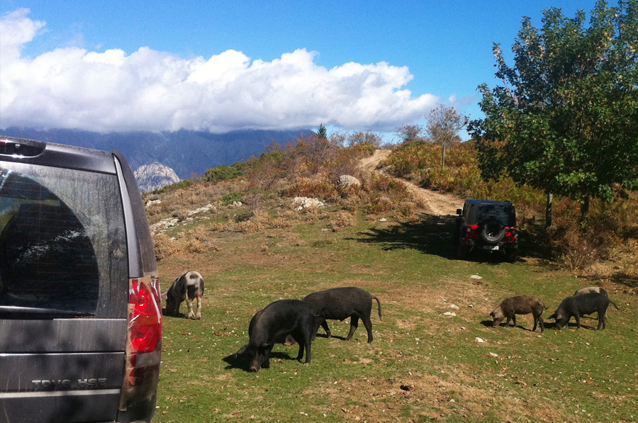 Incursione 4X4 Corsica