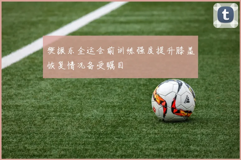 樊振东全运会前训练强度提升膝盖恢复情况备受瞩目
